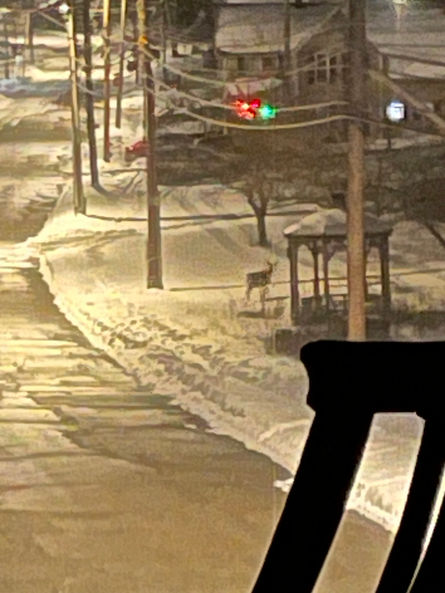 32) The Buck Stops Here*