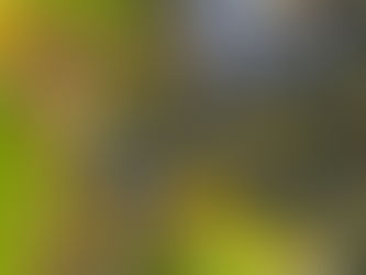 23) The Grapes of Wrath