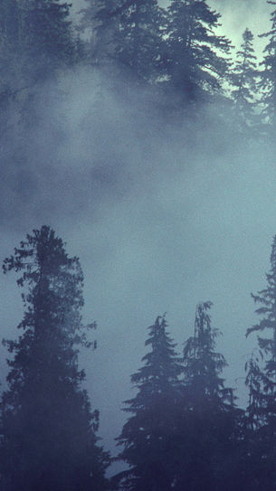 Blood, Iron, and the Peace of the Hearth