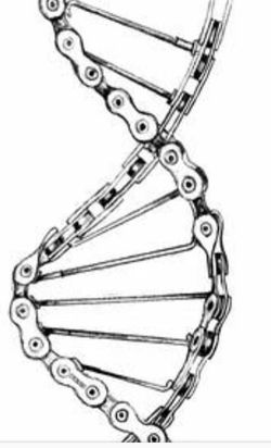 WhatsApp Image 2018-03-15 at 11.50