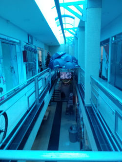 WhatsApp Image 2018-03-15 at 11.39