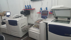 WhatsApp Image 2018-03-15 at 12.29