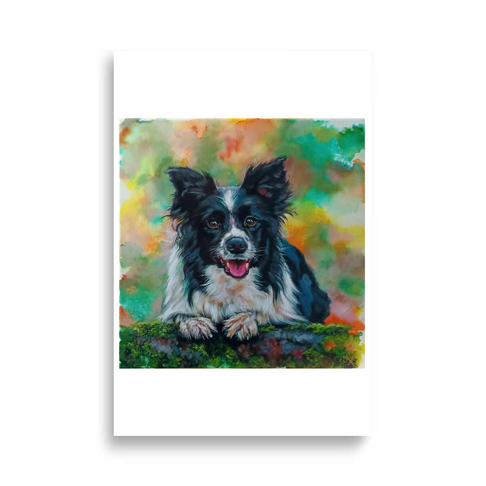 Thumbnail: Border Collie