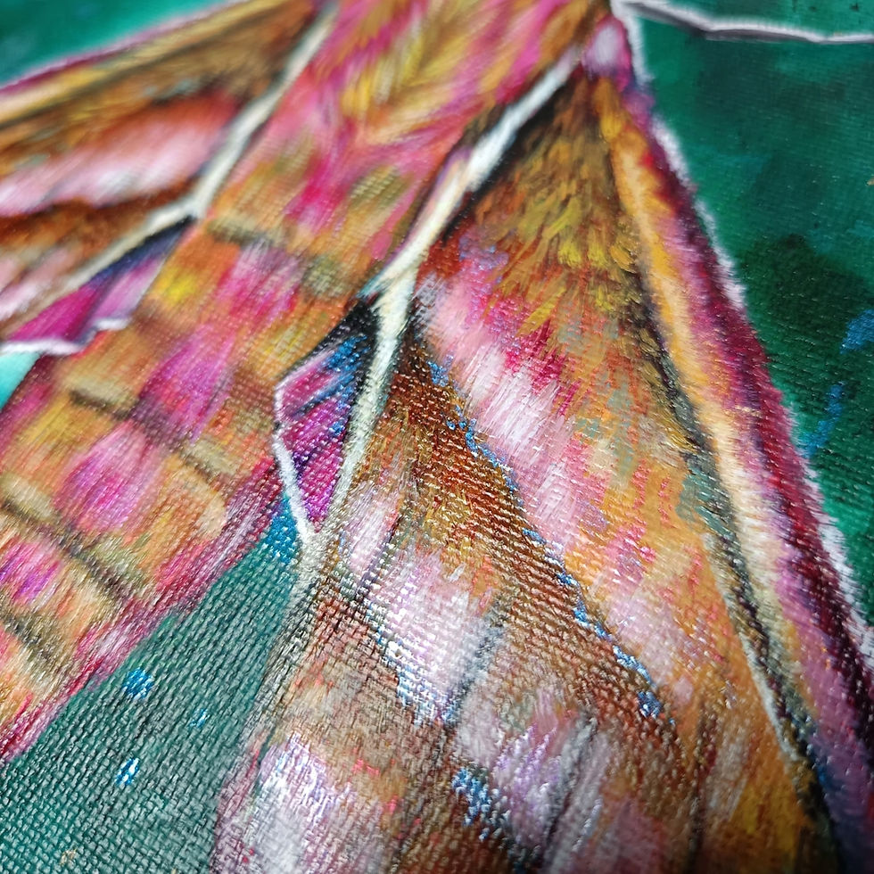 Thumbnail: Deilephila Elpenor