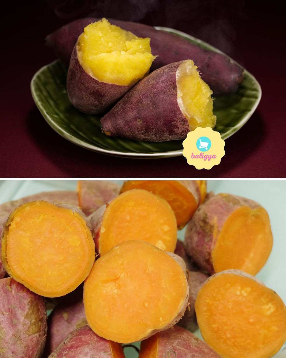Japanese Sweet Potato