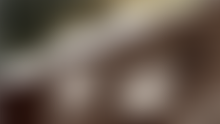 La dualidad humana: Entre la resiliencia y el conflicto