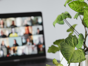 Remote Leadership: Nurturing Virtual Teams for Business Expansion