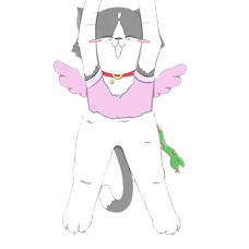 chimera 1_edited.png