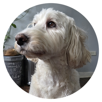 20251231_140611(0) copy.png