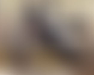 Ivory-billed woodpecker