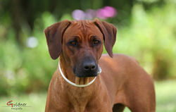 Spanien_31.05.2017_013