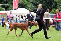 181152_4195630374859_423619295_n