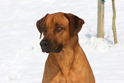 Moyo 22 Monate_2.jpg