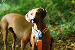 Jumay Tag 43 unterwegs a19