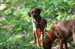 Jumay Tag 43 unterwegs a2