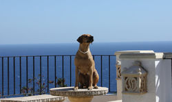 Spanien_2012_002.jpg