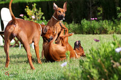 Spanien_31.05.2017_028