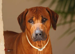 Spanien 27.05.2017_09