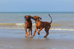 17629697_10212865846426769_4261519617997833309_n