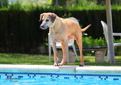 Spanien 27.05.2017_13