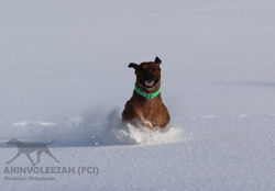 Maari Moyo Akinvoleezah Skiurlaub 2015 Guldner 15.jpg