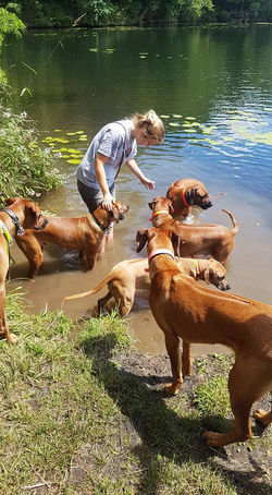 19059090_10213535580329698_387999543051006822_n