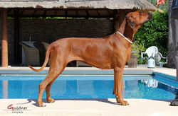 Spanien 27.05.2017_42