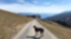 Südtirol 2026_31