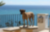 Spanien_2012_006.jpg