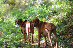 Jumay Tag 43 unterwegs a1