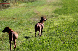 Jumay Tag 43 unterwegs f