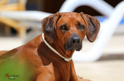 Spanien_31.05.2017_017