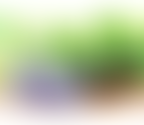 3.11に想う|心と体を整える時間