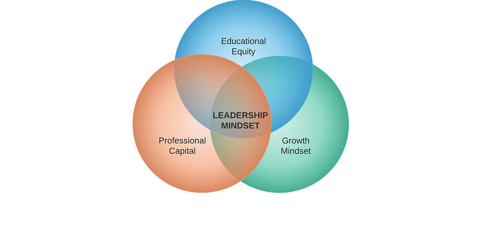Leadership Mindset