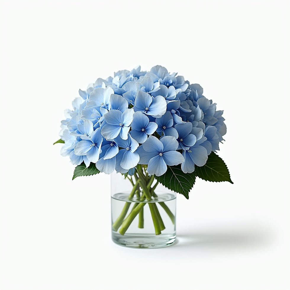Elegant Hydrangea Arrangement