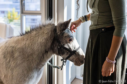 2025_10_15-CITADELLES_mediation_poney-JFF-16.jpg