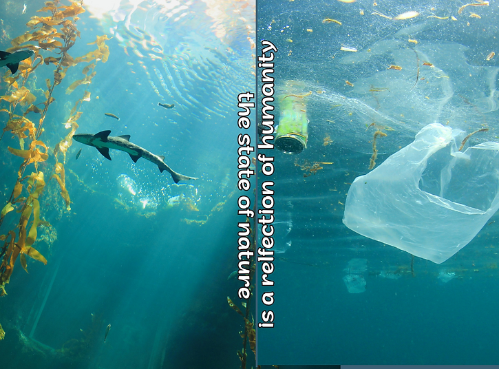 The state of nature is a relfection of our humanity (1).png