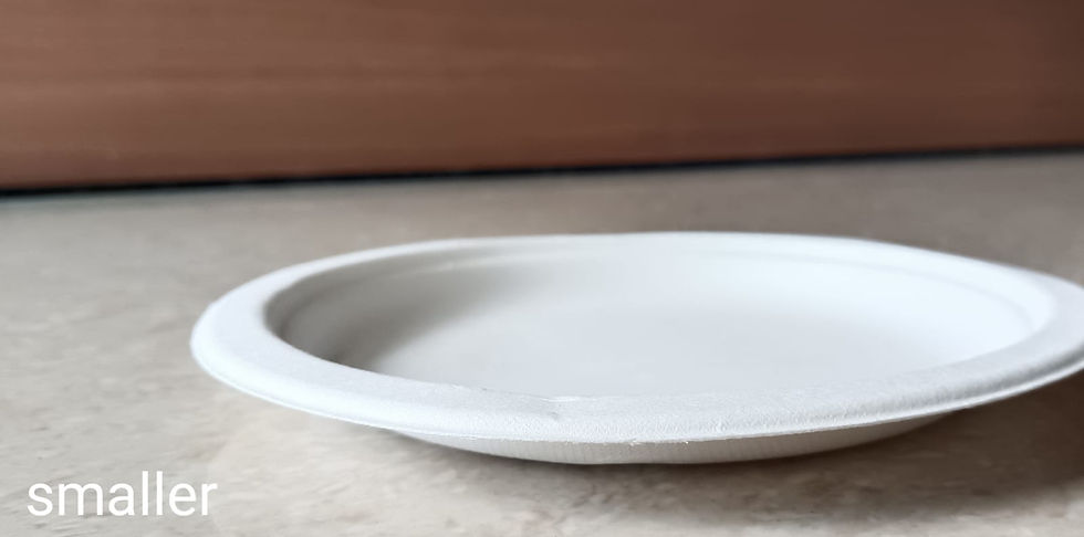 Thumbnail: Bagasse Plain Plates (25 Pieces)
