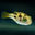 Writer: Pufferfish Enthusiasts Worldwide