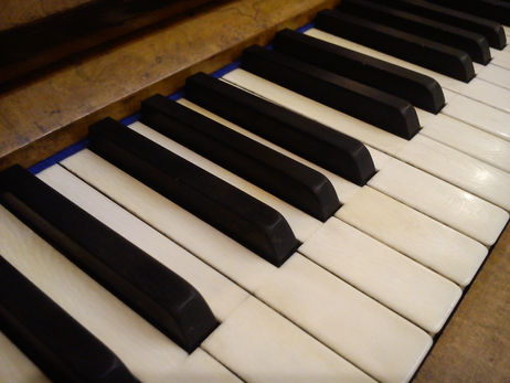 Ivory Piano Keys and The Law