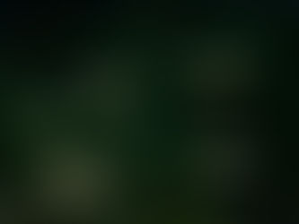 The Social Life of Pea Puffers