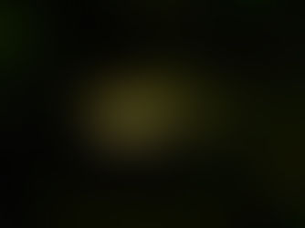 A Beginner's Guide to Worming Pufferfish