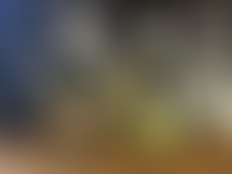 DistiSuisse Part III