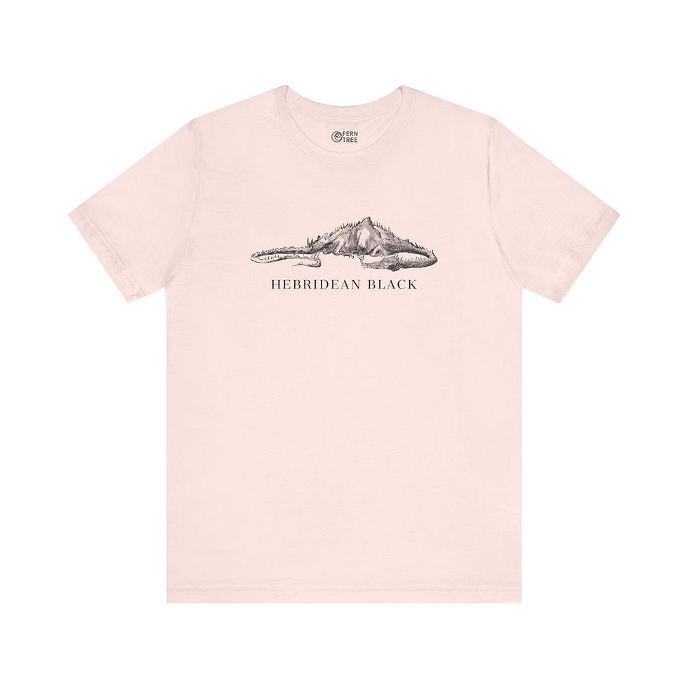 soft pink tee shirt with Hebridean Black illustration from harry potter scottish dragon