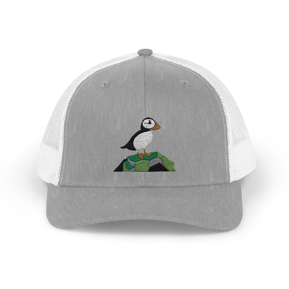 Grey embroidered puffin baseball cap