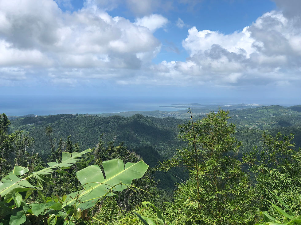View of El Yunque from a hilltop - rain forest and sea