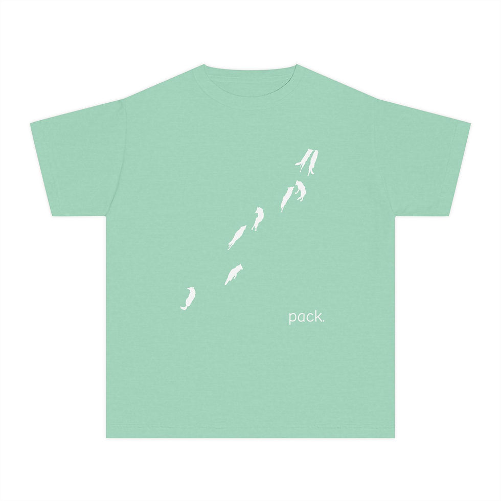 Thumbnail: Minimal Wolf Pack | Youth T-Shirt | Comfort Colors