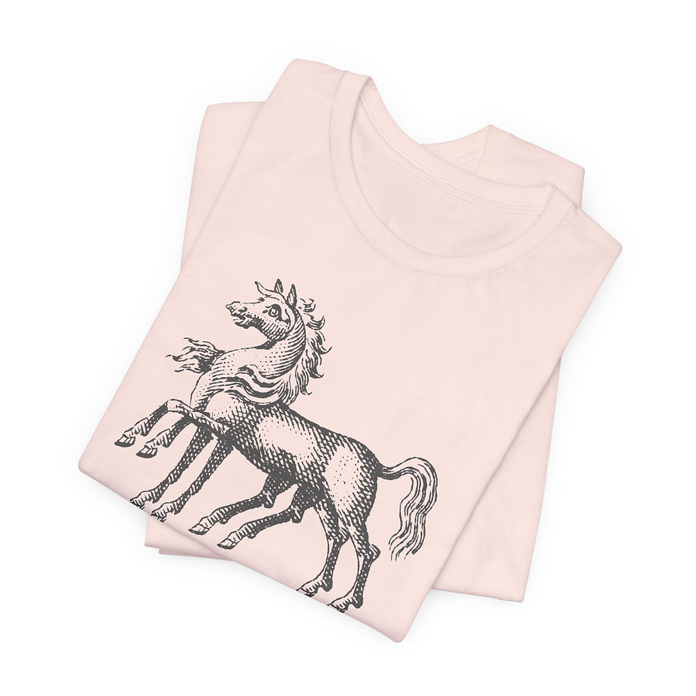 Thumbnail: Sleipnir | Bella+Canvas | Soft Pink