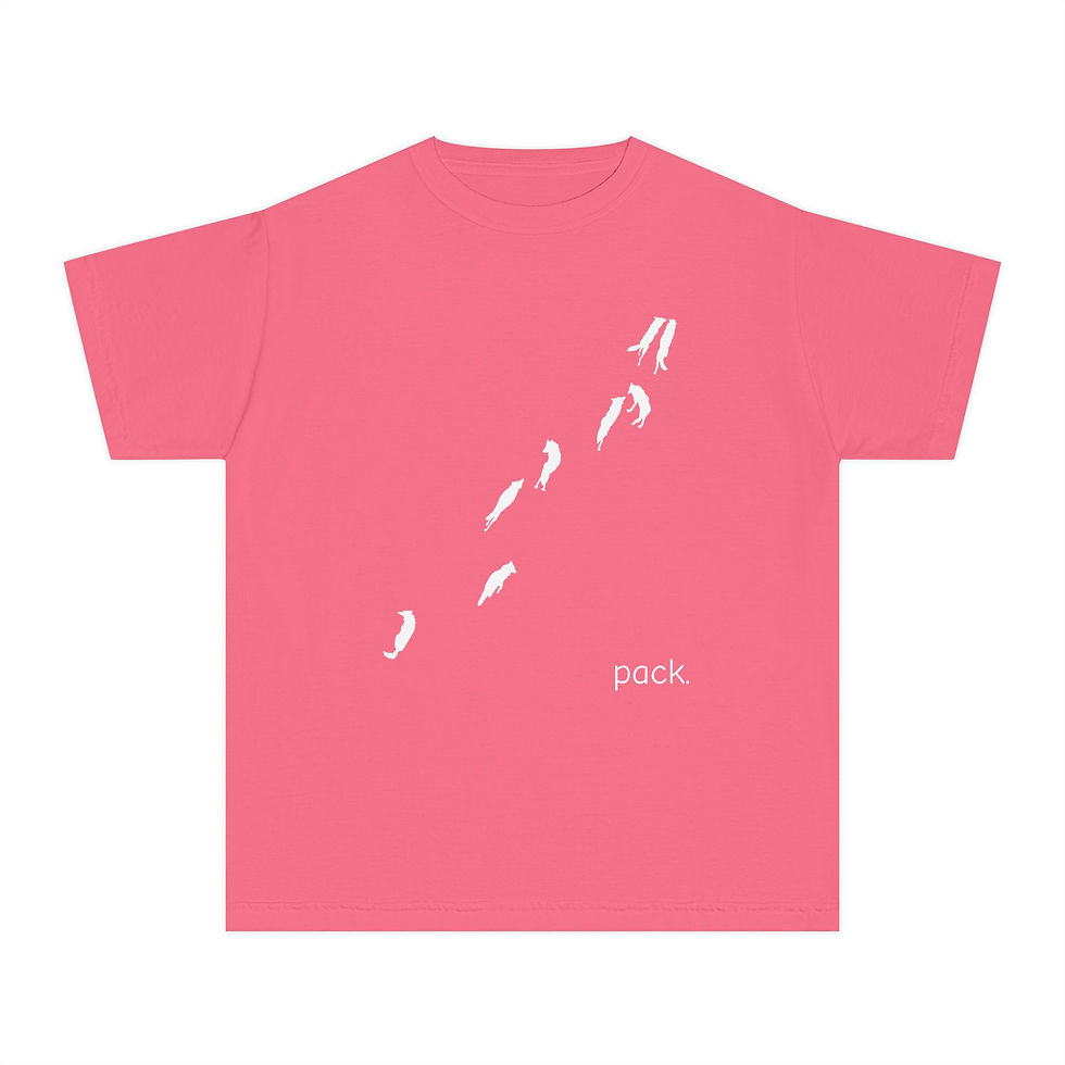 Thumbnail: Minimal Wolf Pack | Youth T-Shirt | Comfort Colors
