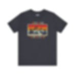 Dark heather gray t-shirt features a vintage-style graphic that says "Protect Our National Parks" with an illustration of mountains, trees, and wildlife.